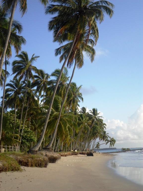 Carneiros Beach Resort Praia dos Carneiros Eksteriør bilde